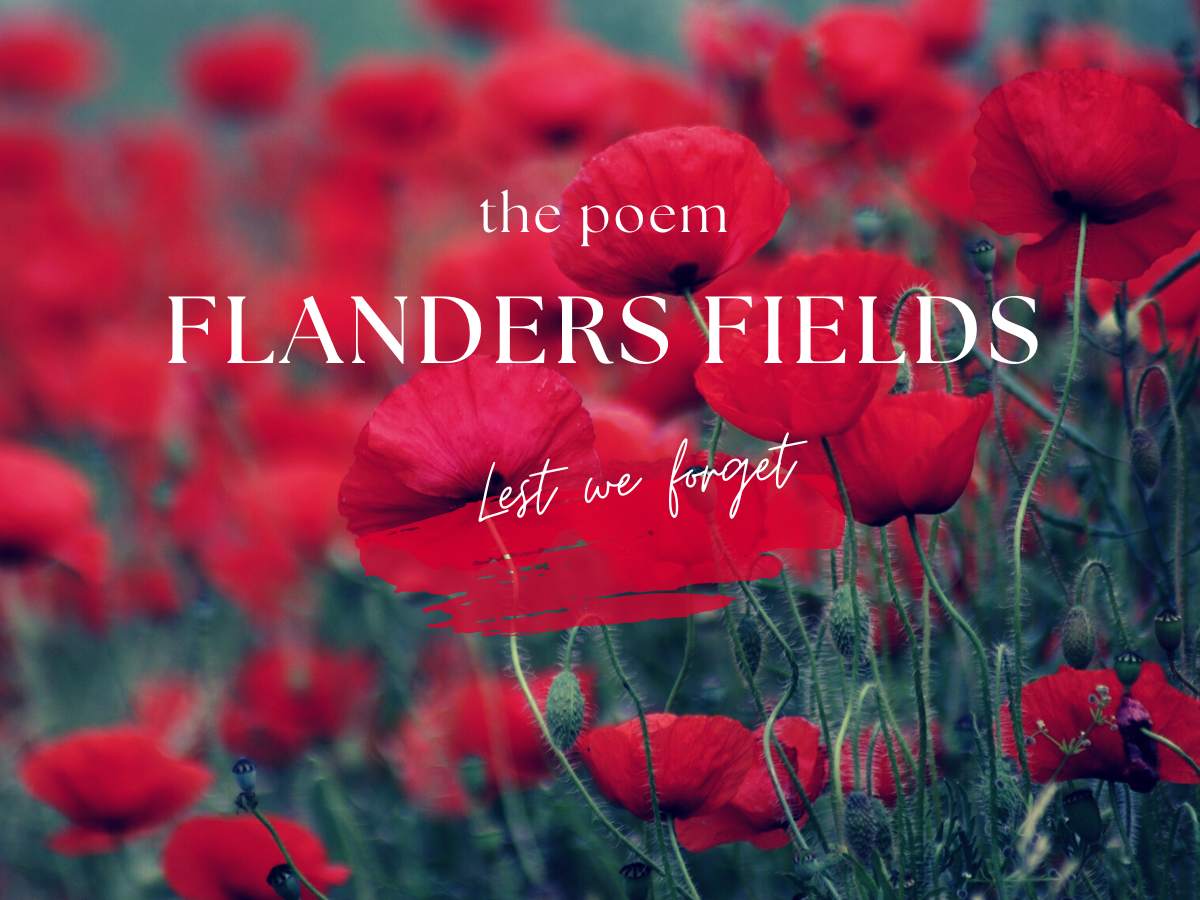 Flanders Fields poem