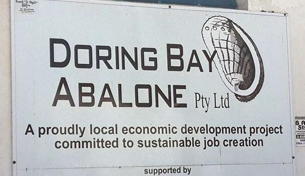 Doring Bay Abalone