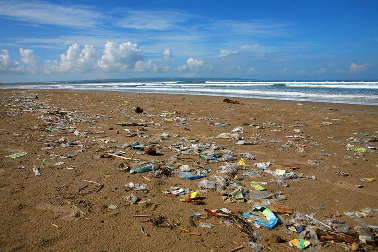Plastic on beach cape town