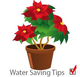 safe water potplant