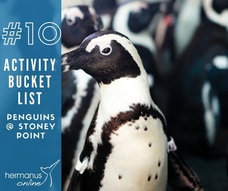Activity bucketlist 10 penguin