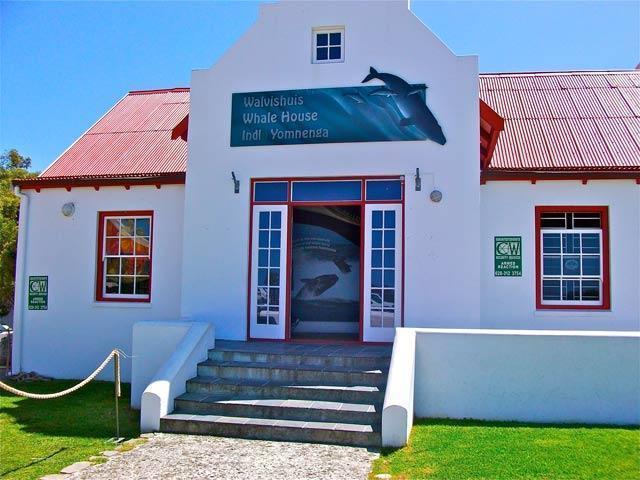 whale museum640
