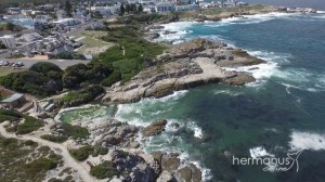 Hermanus-Fickspool02