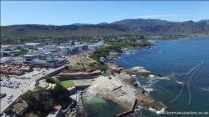 hermanus-newharbour03