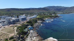 hermanus_marine01