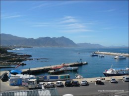 hermanus-photos11