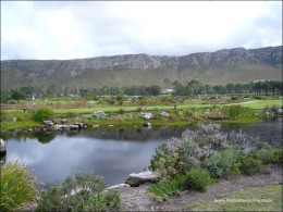 hermanus-photos14