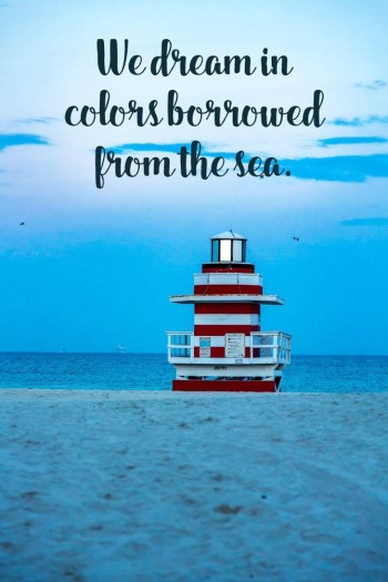 beach-dreams-beach-quotes