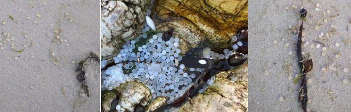 Nurdles in sand banner