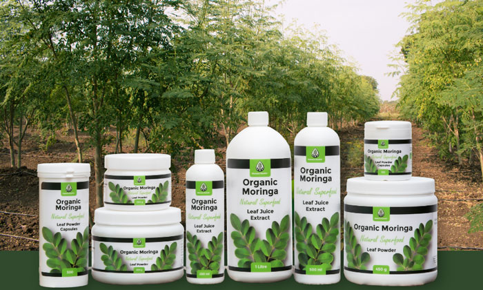 Matana Moringa Ragne 700x