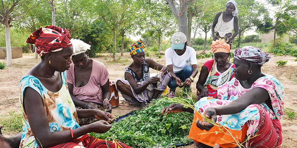 morings community in senegal