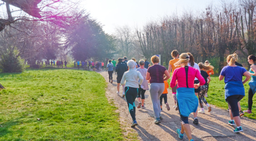 Parkrun Hermanus 500 x 276