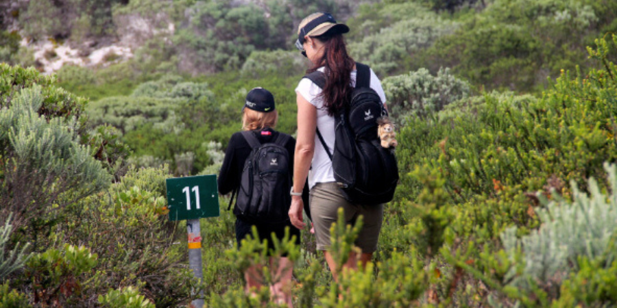 Kogelberg hiking