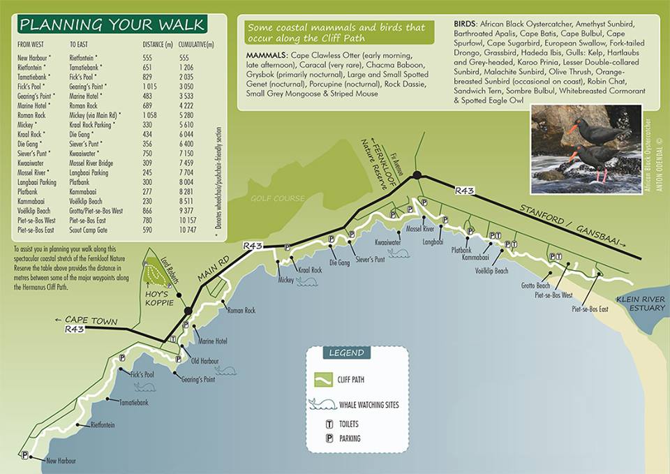 CliffPath Map