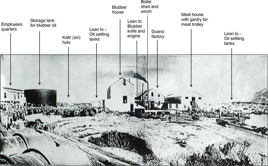 Whaling station bettysbay layout