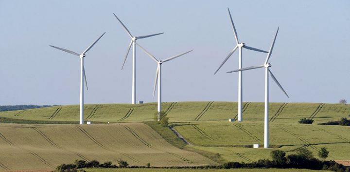 caledon windfarm3