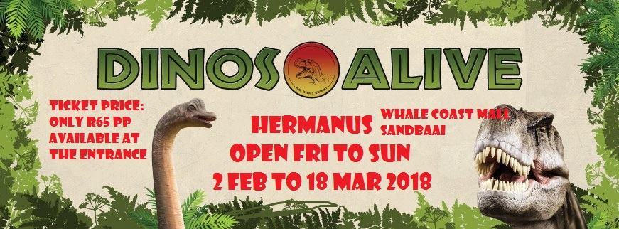 dinos alve hermanus header