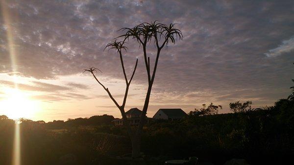 Dune Ridge in Cape St.Francis 01