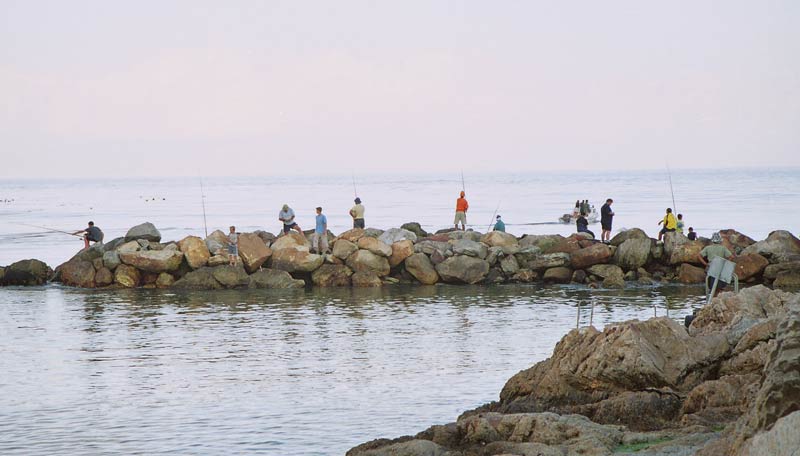 harbour fishing at Betty