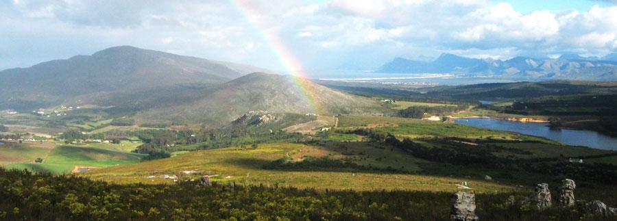 cropped rainbow