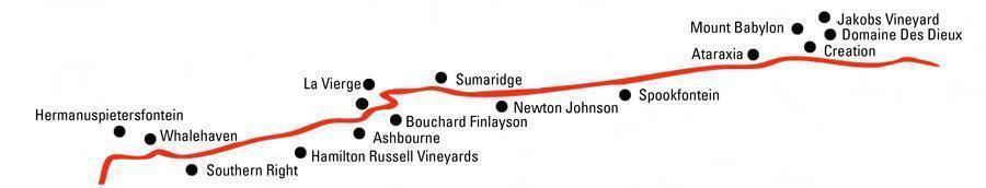 hermanus winemap