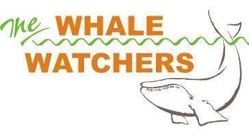 whale-watchers