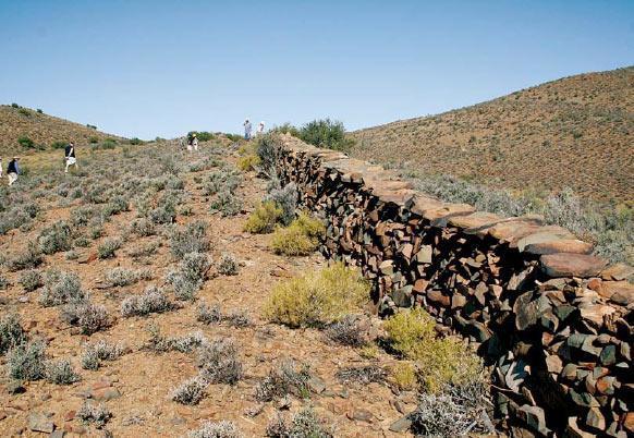 karoo wall