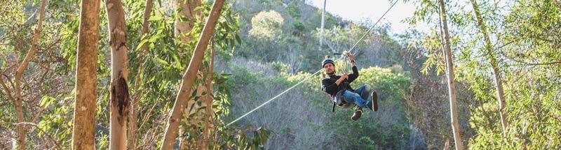 Hermanus Ziplines