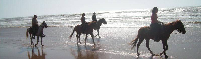 Horse riding beach