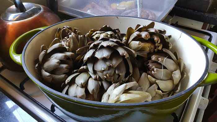 Bowl with artichokes web