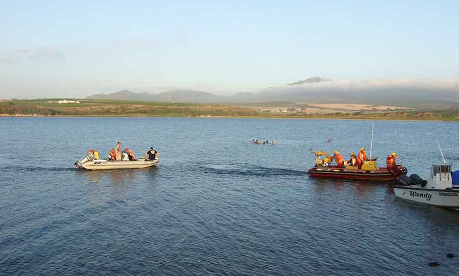 Hermanus lagoon assist