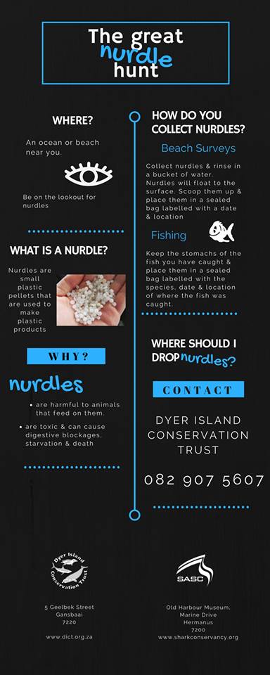 Plastic Nurdles infogram