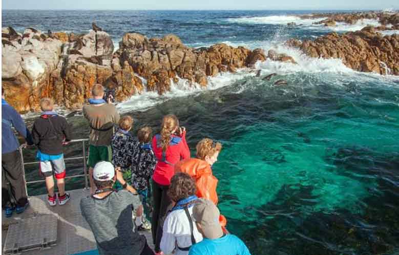 eco boat trip 700 x400