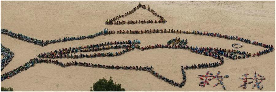 kids shark on beach 900 x 300