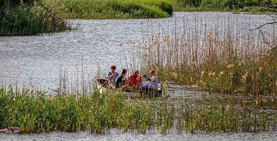 rowing on the lagoon