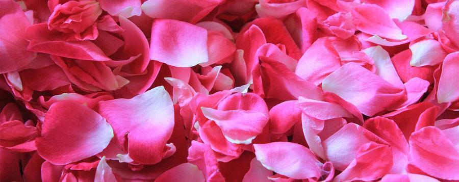 potpourri rose pedals