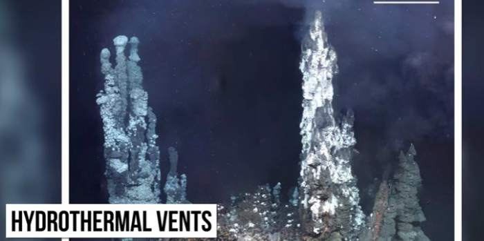 Hydrothermal vents