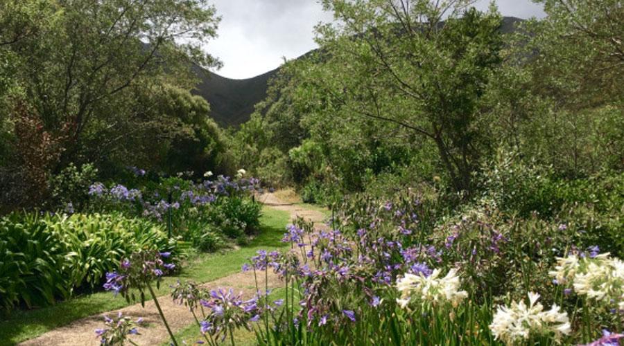 Fernkloof gardens