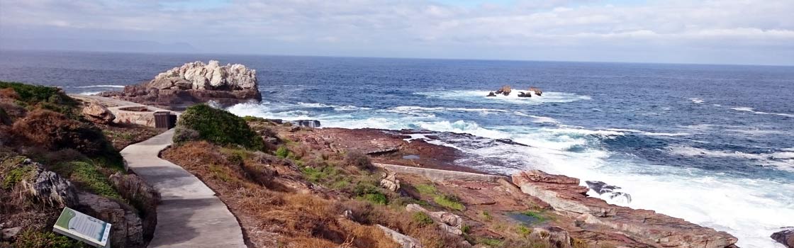 hermanus cliffpath