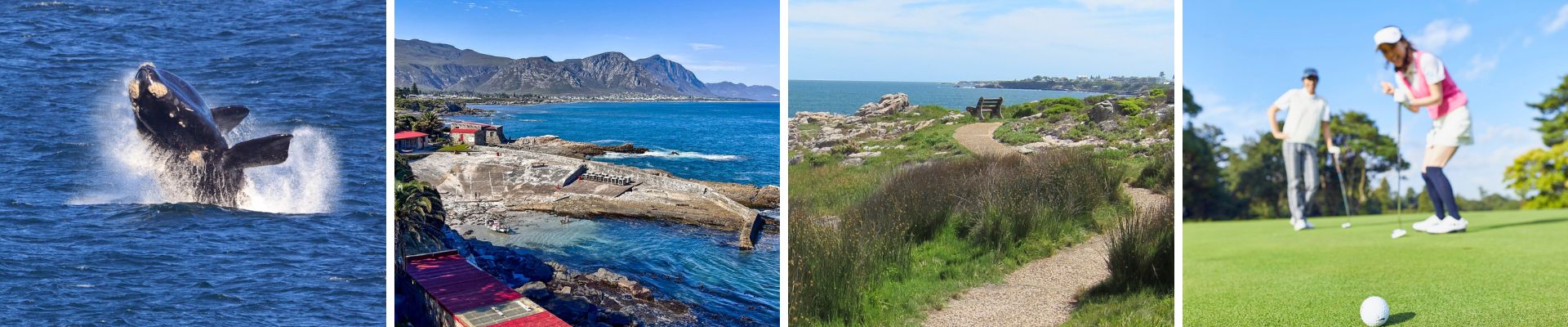 hermanus activities