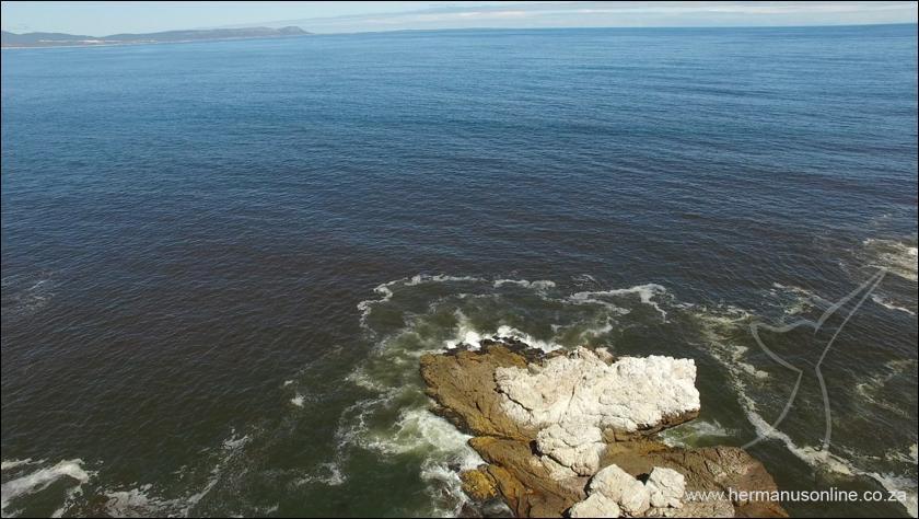 hermanus redtide02