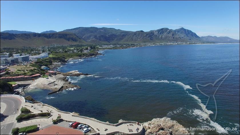 hermanus redtide03