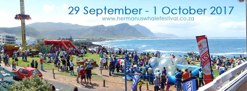 Whale Festival FB banner