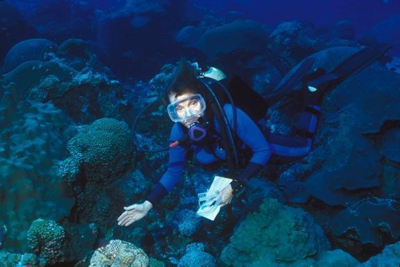 dr sylvia earle uw