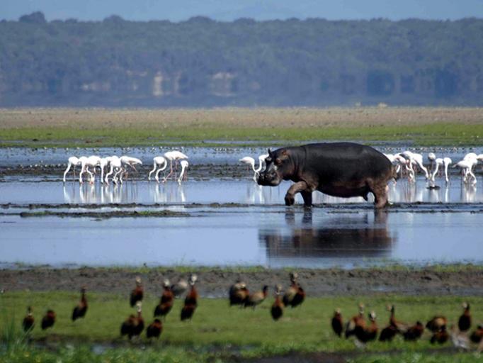 isimangaliso wetland