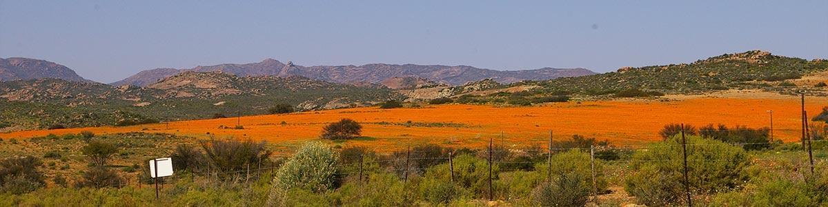 namaqualand header