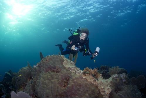 Reminiscences of Dr Allan Heydorn of diving with Dr Sylvia Earle