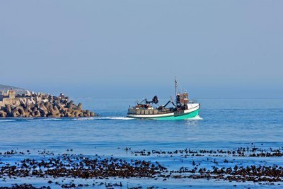 Congrats Gansbaai! Gold award for Best Destination for Responsible Tourism 2015