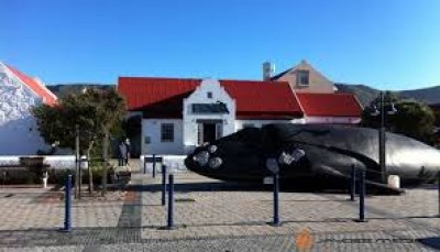 6 Iconic  museums that depict the colorful lives on the Cape Whale Coast in the times of shipwrecks and whaling.