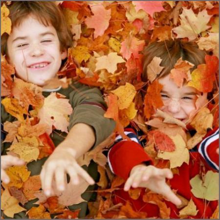 Why do leaves change colour in autumn?